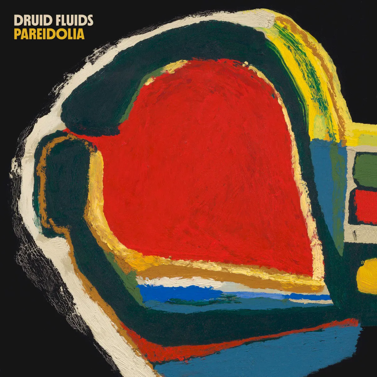 Cover of Druid Fluids – Pareidolia