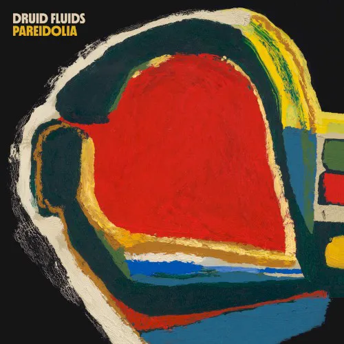 Cover of Druid Fluids – Pareidolia
