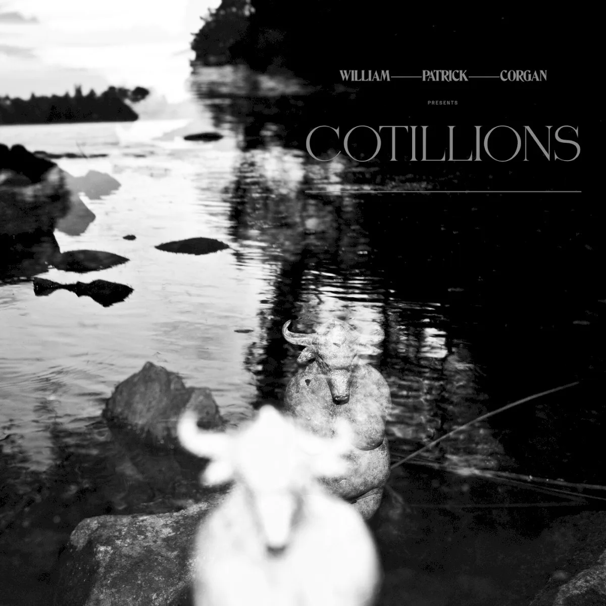 Obal albumu Billy Corgan – Cotillions