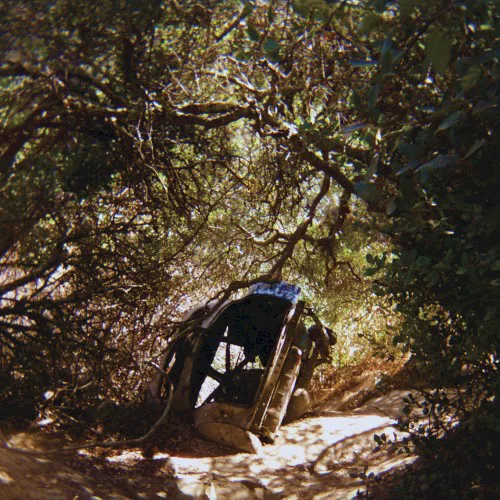 Cover of Ty Segall – Possession