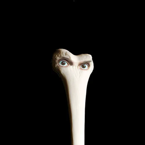 Obal alba Juana Molina – Halo