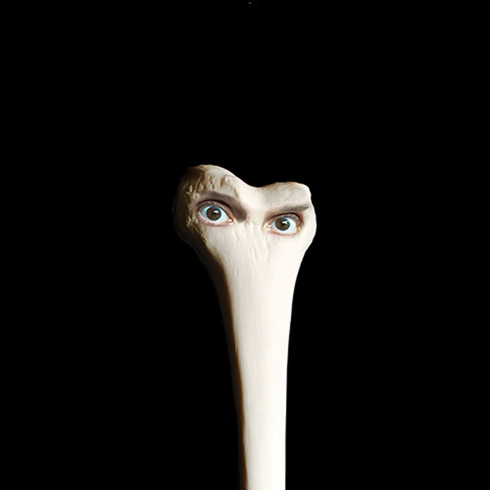 Obal alba Juana Molina – Halo