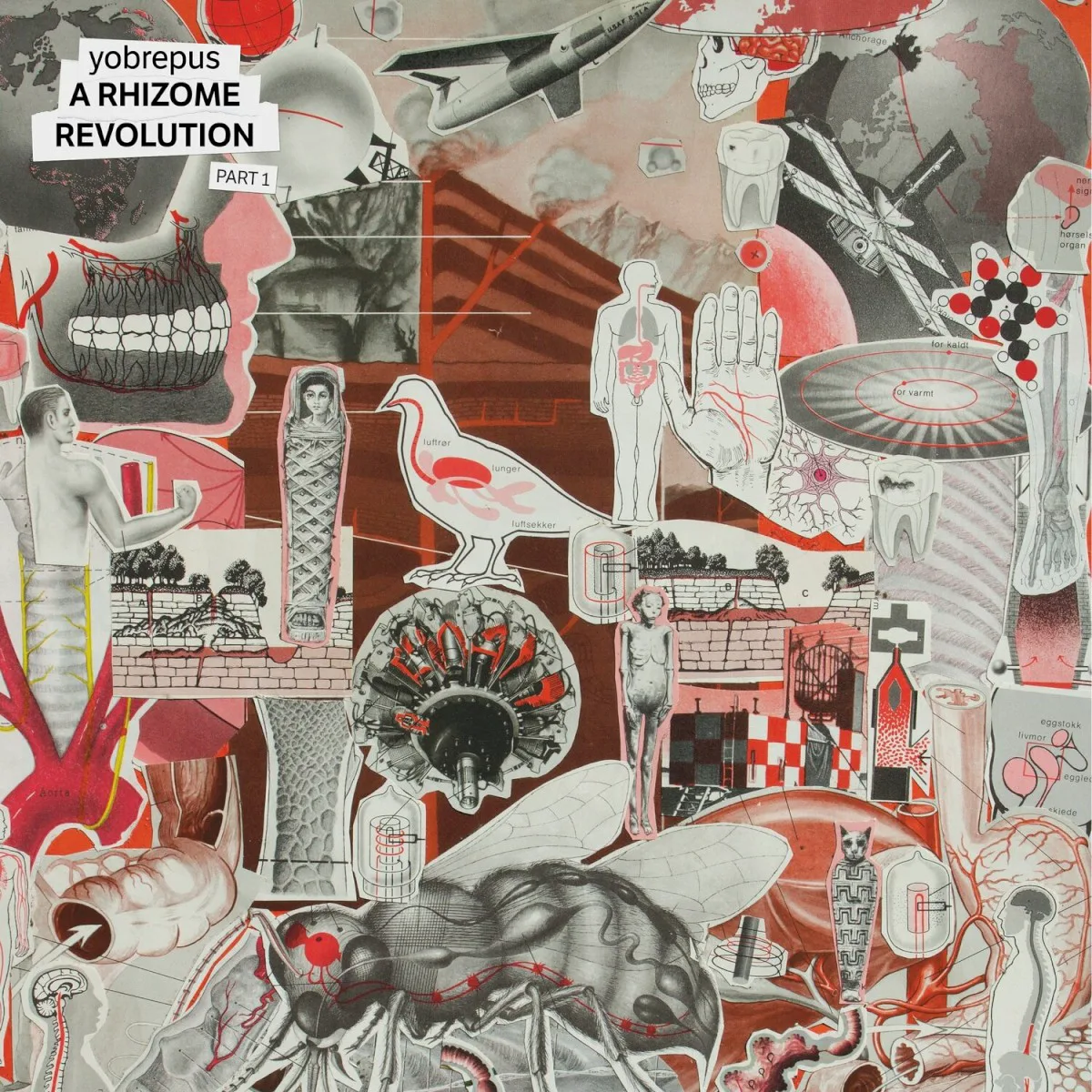 Cover of Yobrepus – A Rhizome Revolution - Part 1