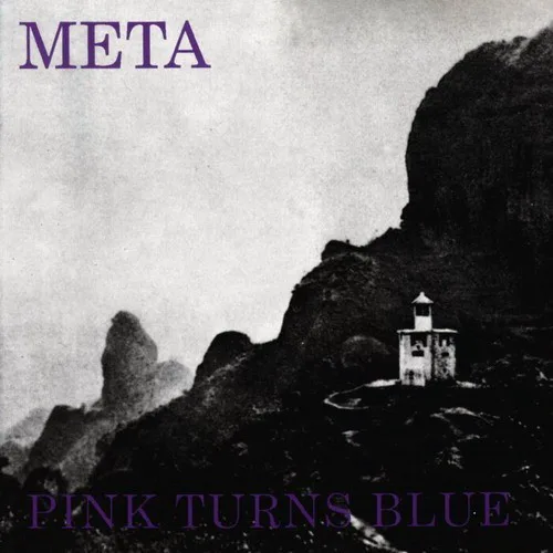 Cover of Pink Turns Blue – Meta