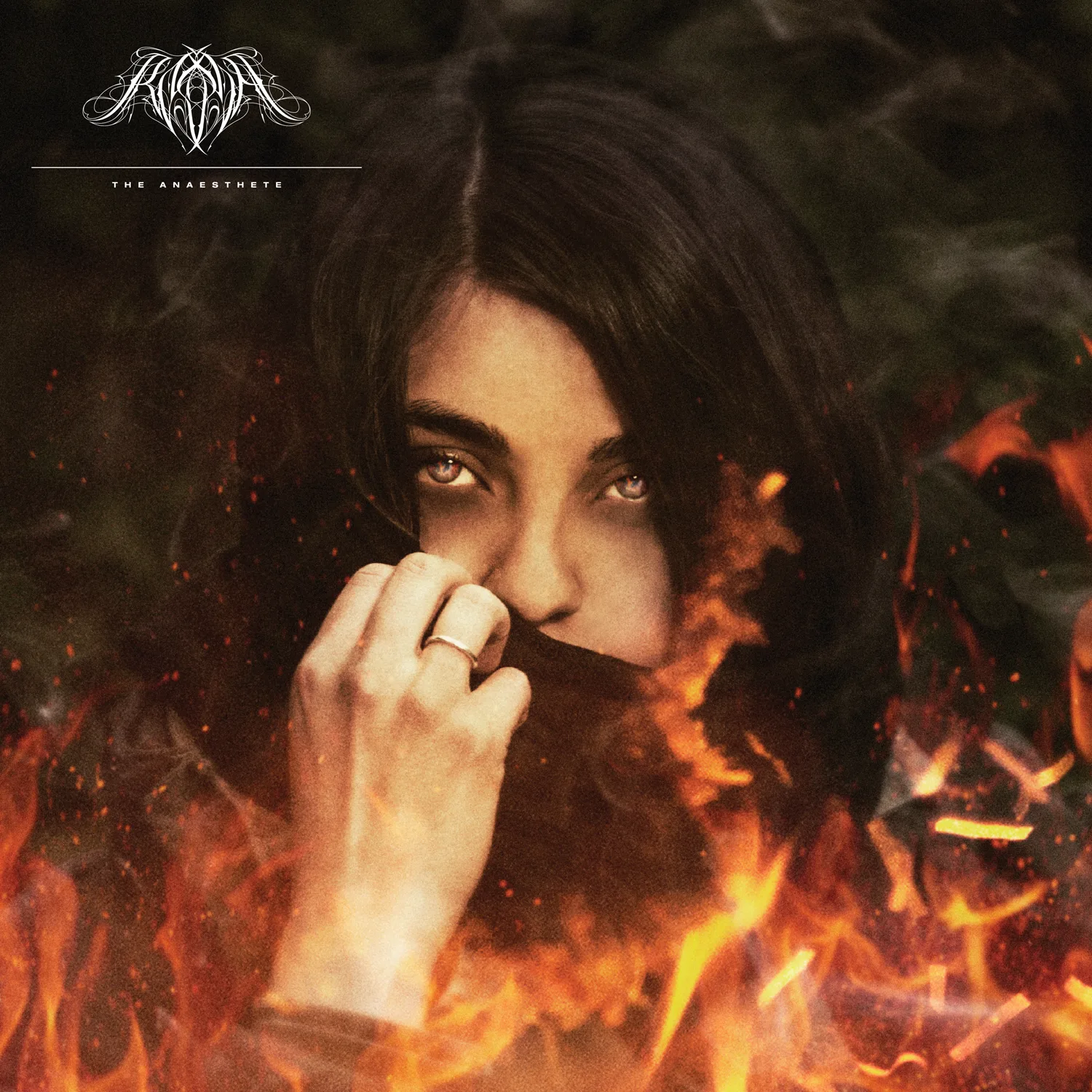 Cover of Rosetta – The Anaesthete