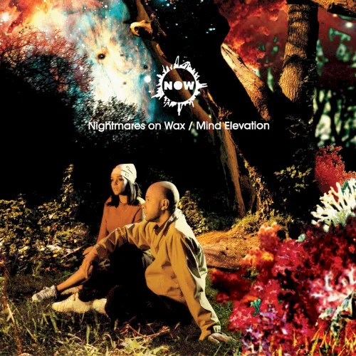 Cover of Nightmares on Wax – Mind Elevation