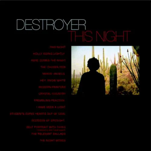 Cover of Destroyer – This Night