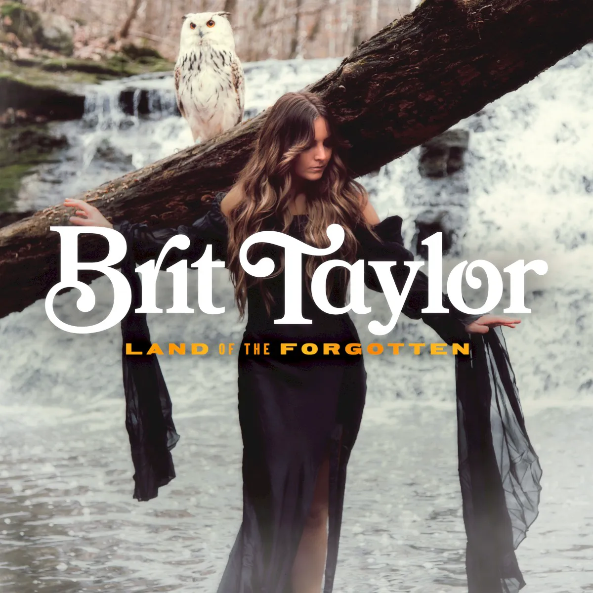 Cover of Land of the Forgotten