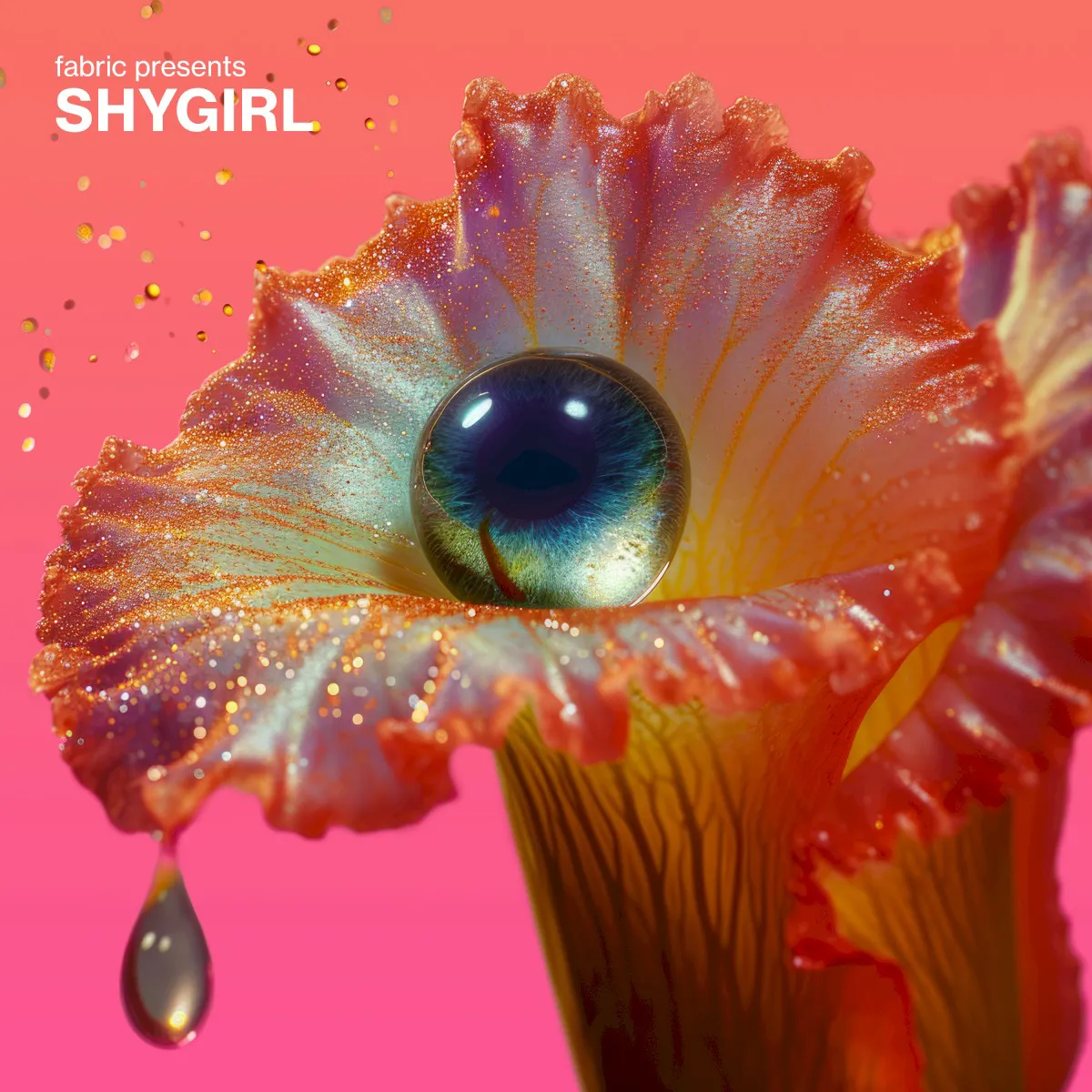 Cover of fabric presents Shygirl
