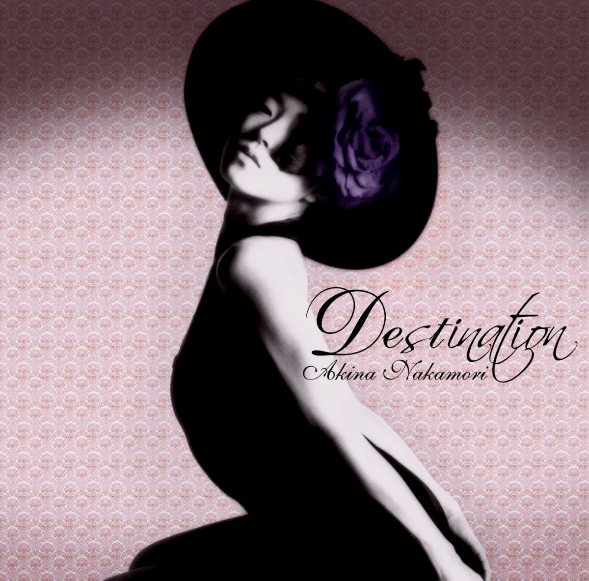 Cover of 中森明菜 – DESTINATION