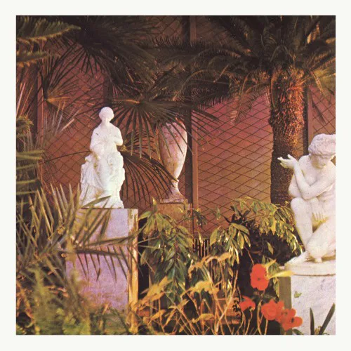 Cover of Marja Ahti – Vegetal Negatives