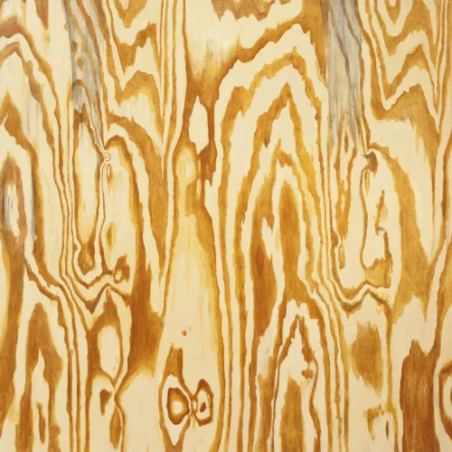 Cover of Mazes – Wooden Aquarium
