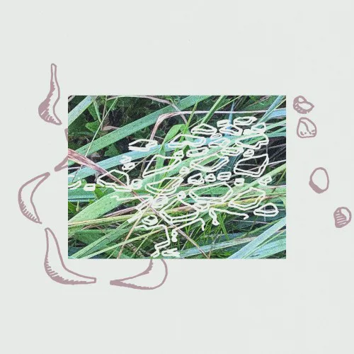 Cover of Tristan Arp – Sculpturegardening