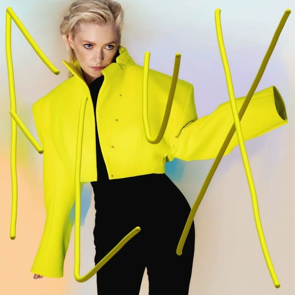 Cover of Flux
