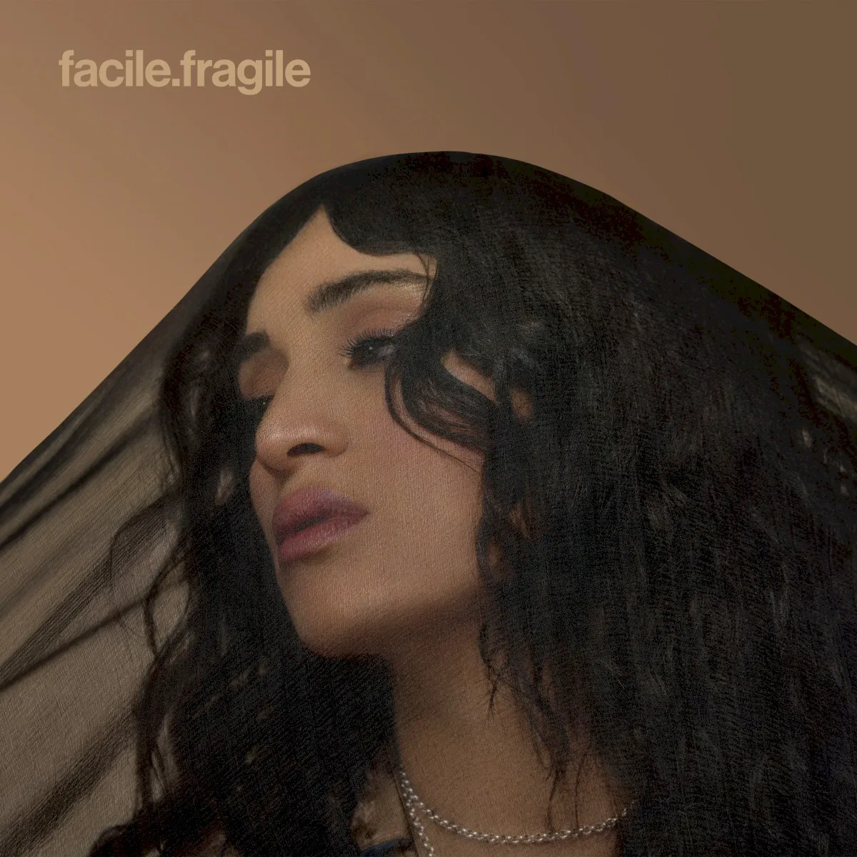 Obal albumu Camélia Jordana – facile x fragile