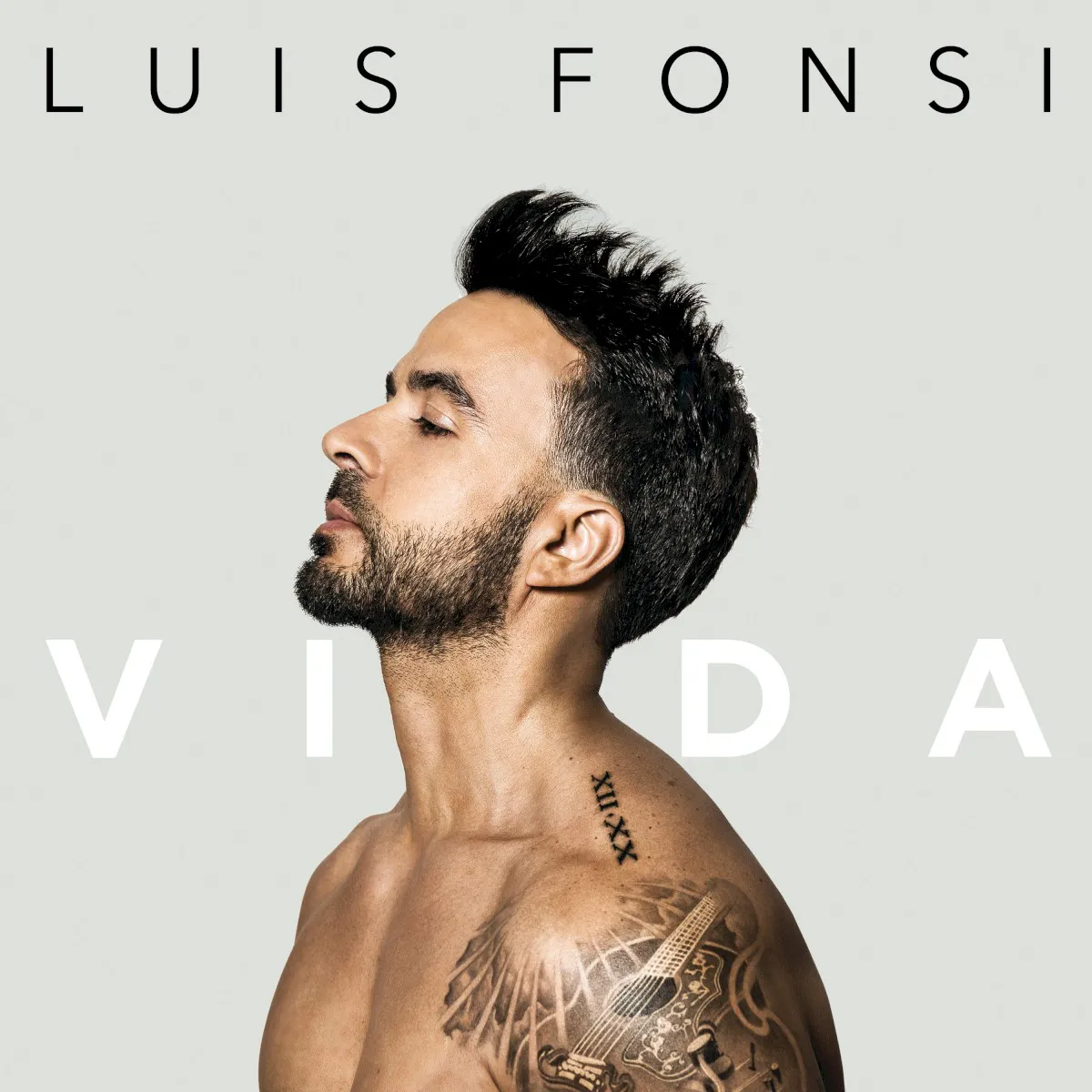 Cover of Vida