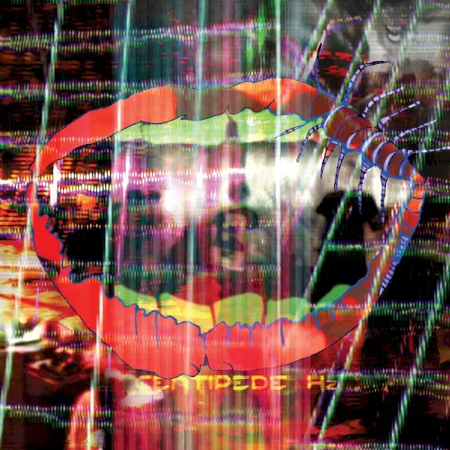 Cover of Animal Collective – Centipede Hz