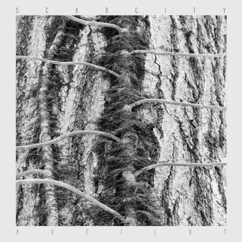 Cover of Scarcity – Aveilut