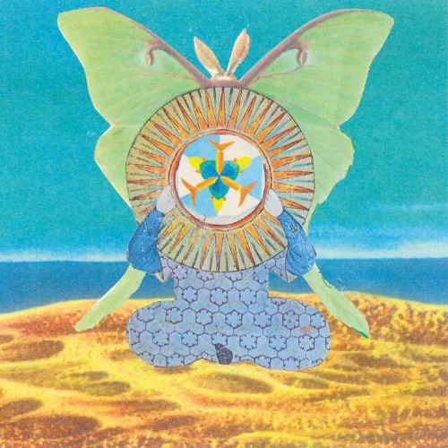 Cover of The Skygreen Leopards – The Jingling World of