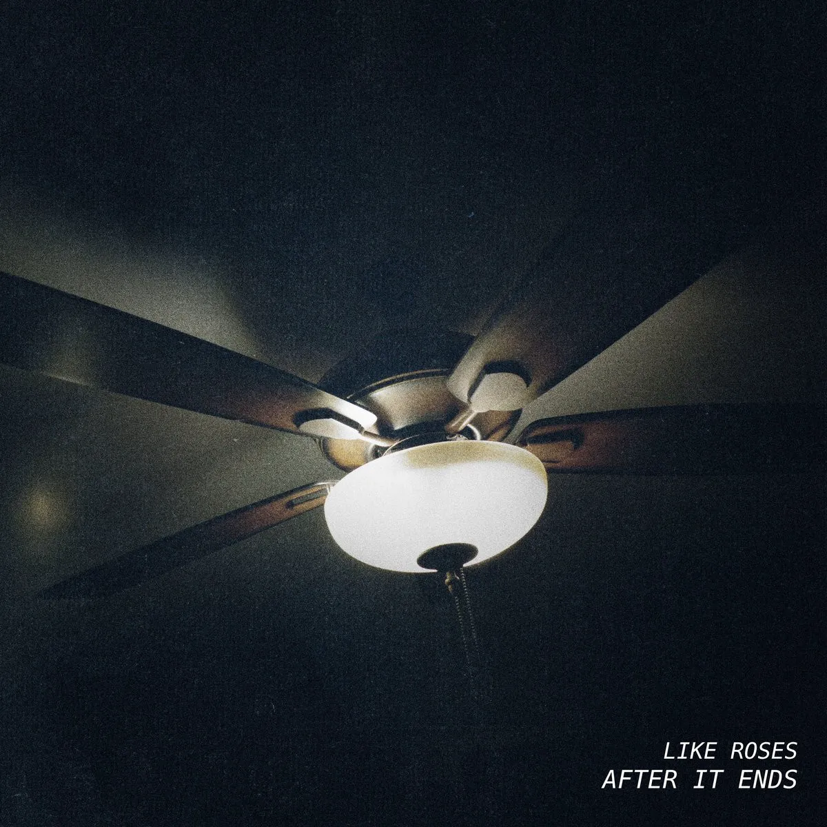 Cover of After It Ends