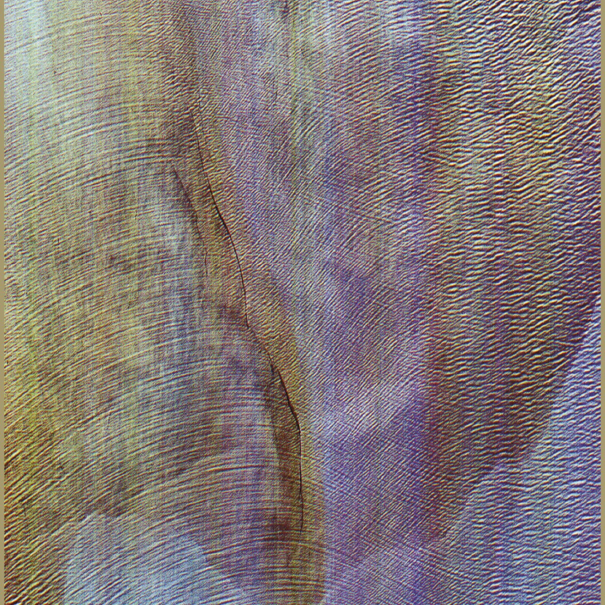 Cover of Akron/Family – Sub Verses