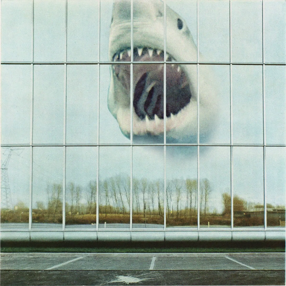 Cover of Black Mountain – Wilderness Heart