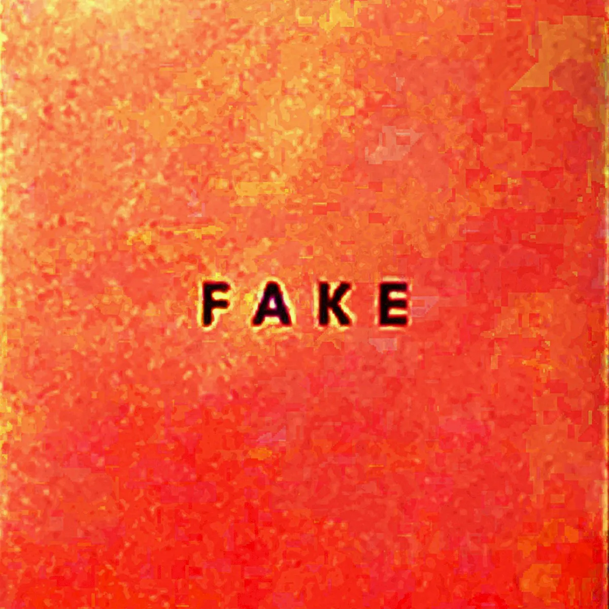 Cover of Fake