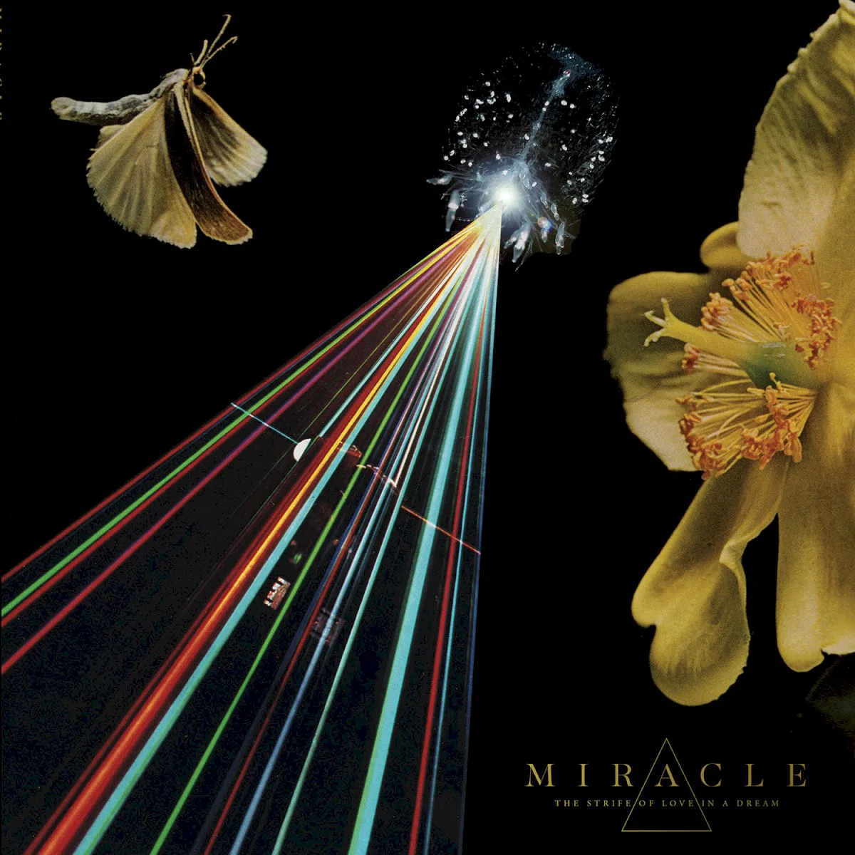 Cover of Miracle – The Strife of Love in a Dream
