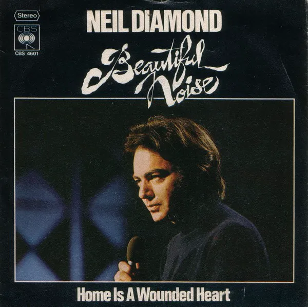Cover of Beautiful Noise