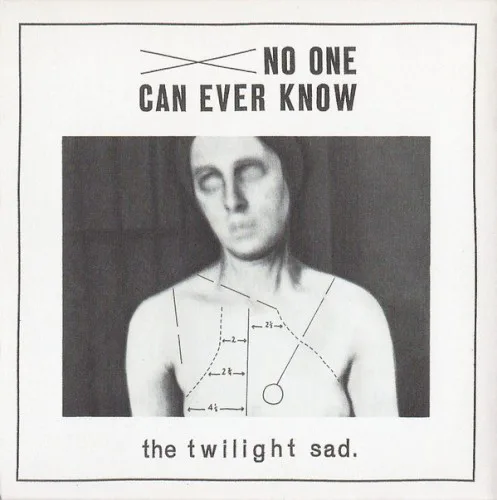 Obal alba The Twilight Sad – No One Can Ever Know