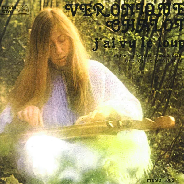 Cover of J’ai vu le loup