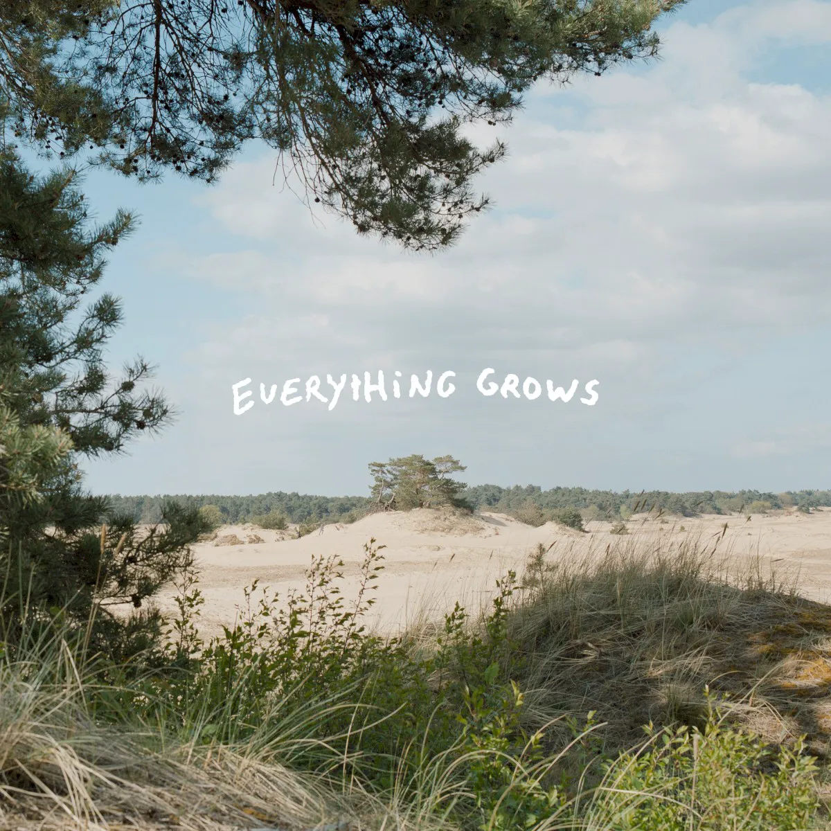 Obal albumu Everything Grows