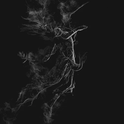 Obal albumu Jarboe – Illusory