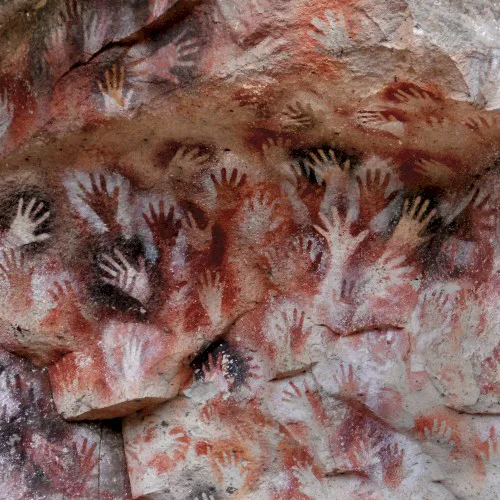 Cover of Fauna – Ochre & Ash