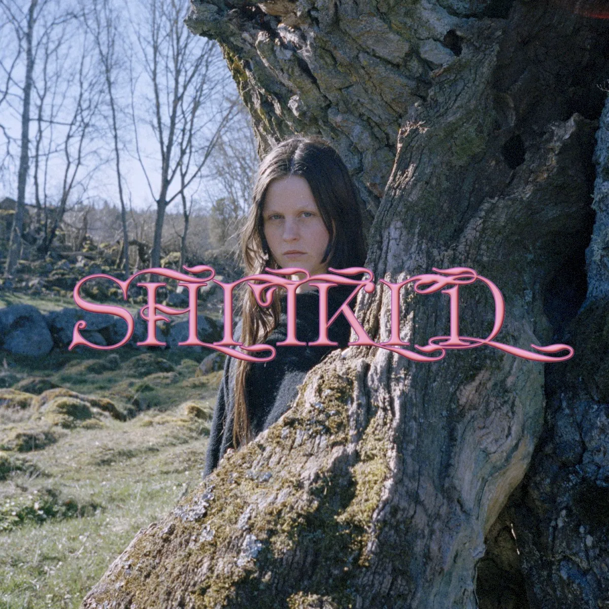 Cover of ShitKid – The Essential (Vol. 2)