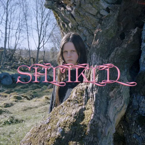 Cover of ShitKid – The Essential (Vol. 2)