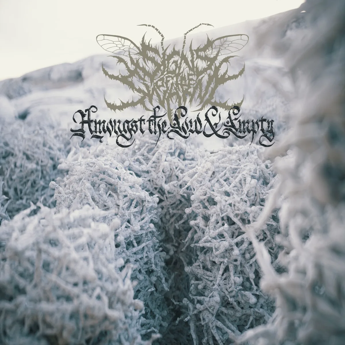 Cover of Signs of the Swarm – Amongst the Low & Empty