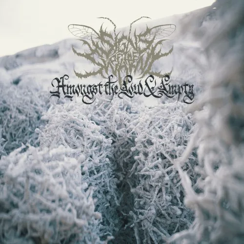 Cover of Signs of the Swarm – Amongst the Low & Empty