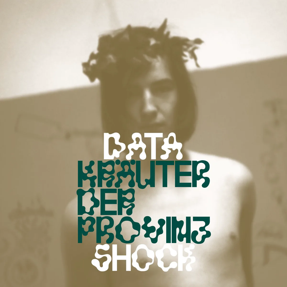 Cover of Datashock – Kräuter der Provinz