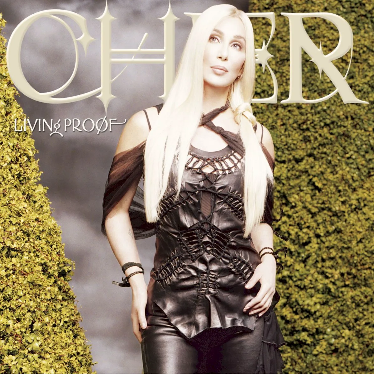 Cover of Cher – Living Proof