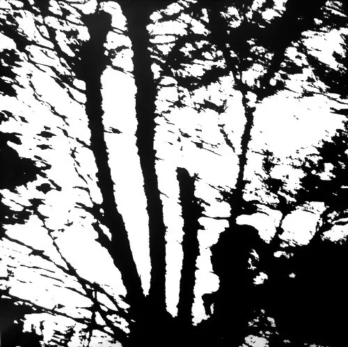 Obal alba Camouflage Heart