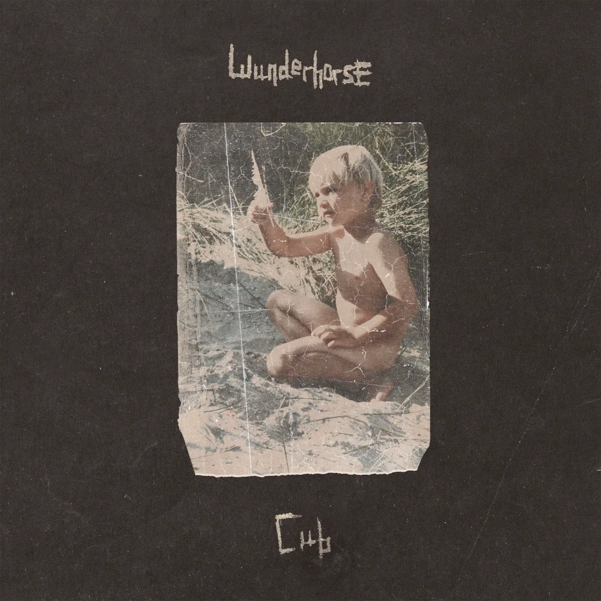 Cover of Cub