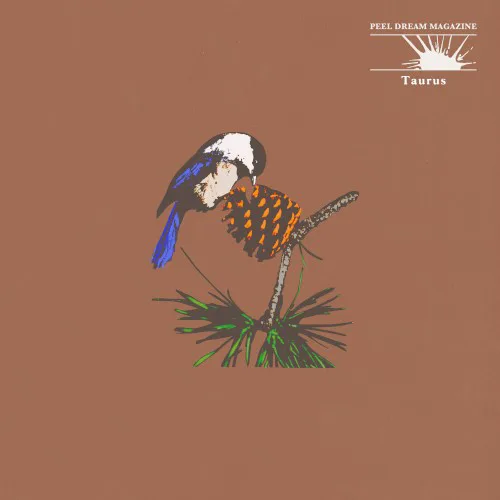 Obal alba Peel Dream Magazine – Taurus