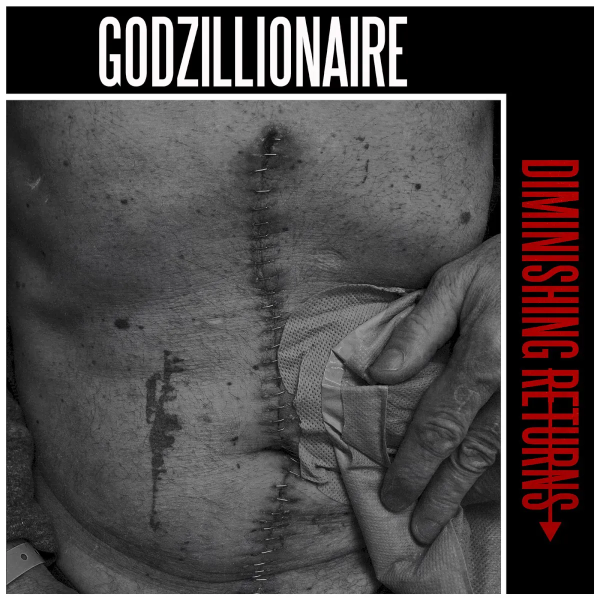Cover of Diminishing Returns