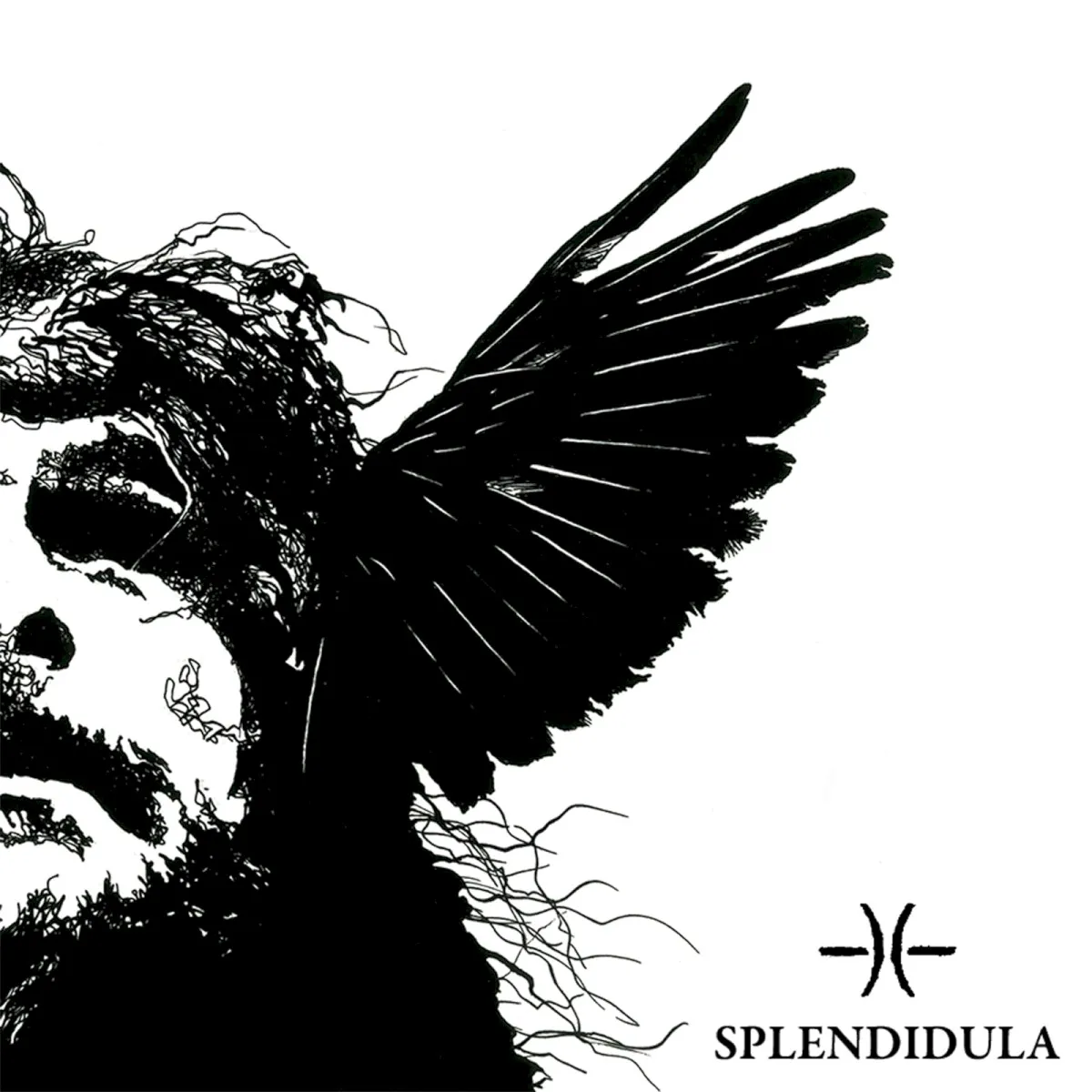 Obal alba Splendidula – Somnus