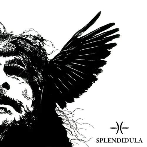 Obal alba Splendidula – Somnus