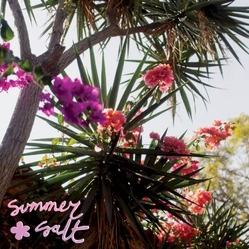Cover of Summer Salt – Campanita