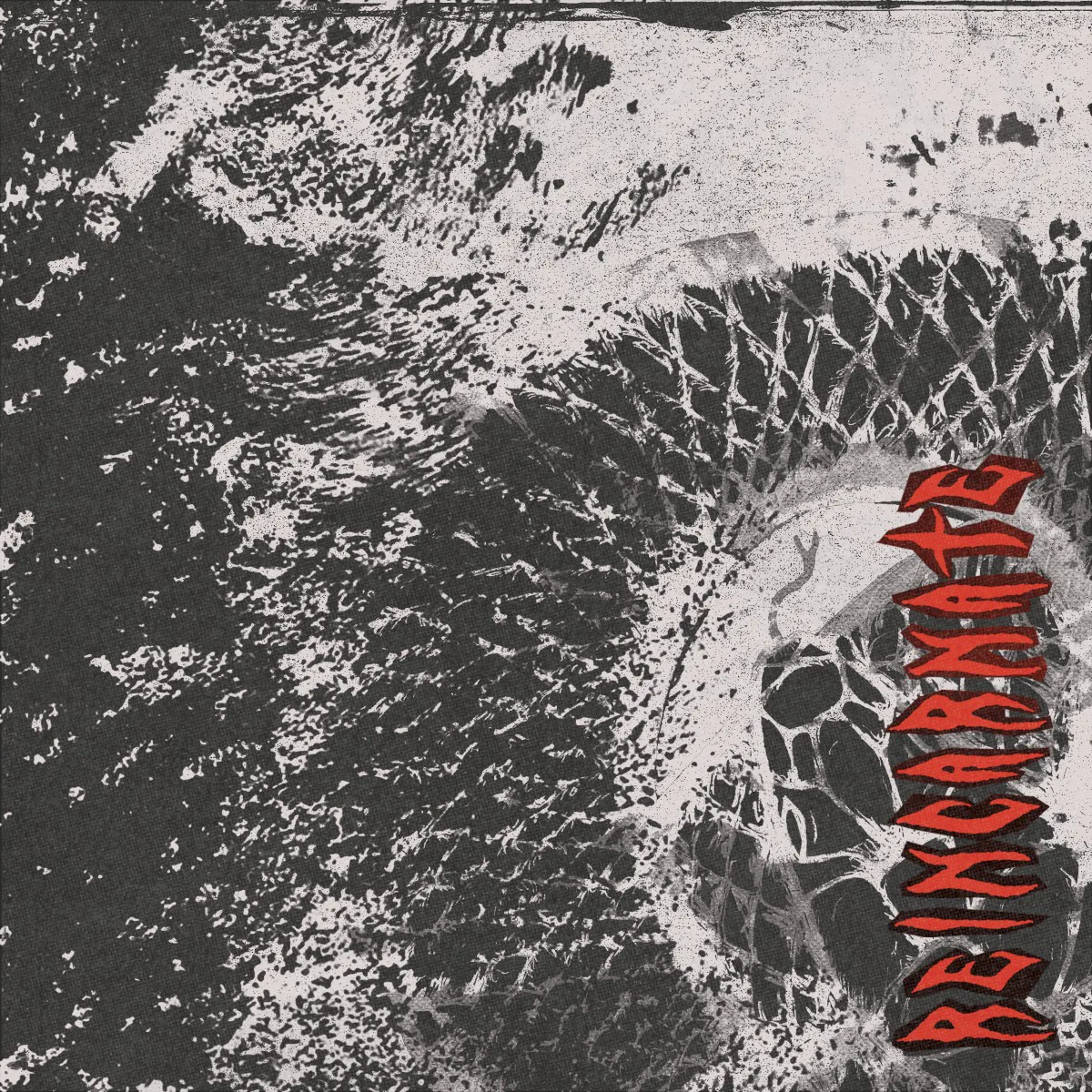 Cover of Witch Fever – Reincarnate