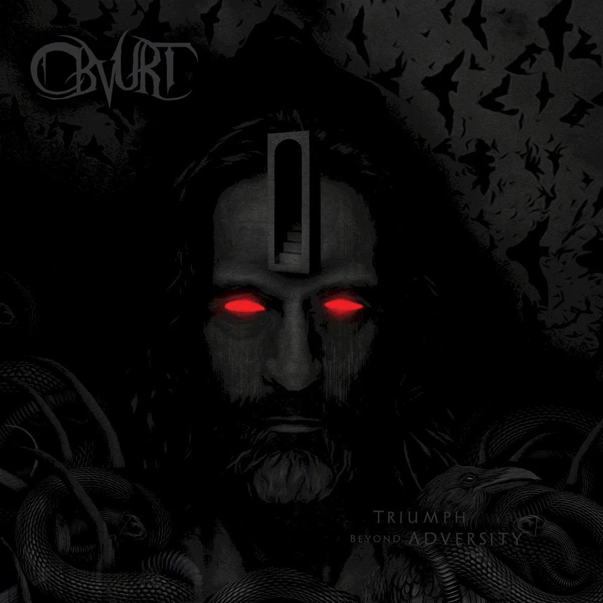 Cover of Obvurt – Triumph Beyond Adversity