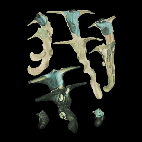 Cover of Rainforest Spiritual Enslavement – Jellyfish Reproduce Black Magic
